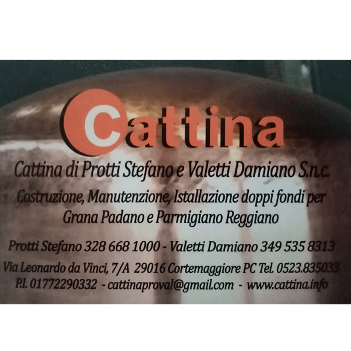 Cattina